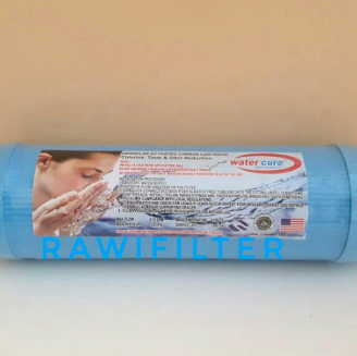 Filter Air GAC WATERCURE 10"inch